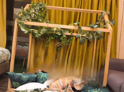 挪亞方舟度假酒店優惠