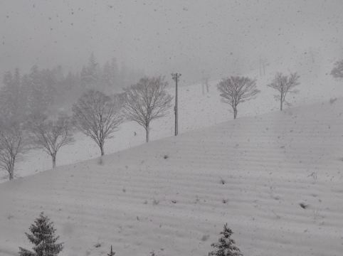 ナスパニューオータニ クーポン