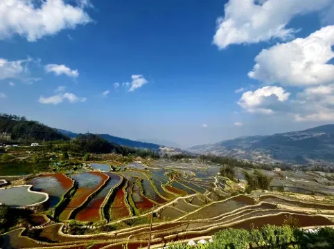 Yunti Hotel Area Publik Photos