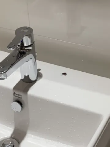 Wuyu Sky Garden Hotel (Chongqing Yuanyang Metro Station & Garden Expo Park Branch) Номера Photos