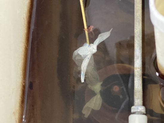 浮羅交怡阿瑟尼亞度假酒店優惠