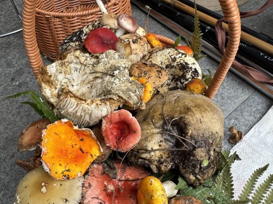 大理古城來之星宿優惠