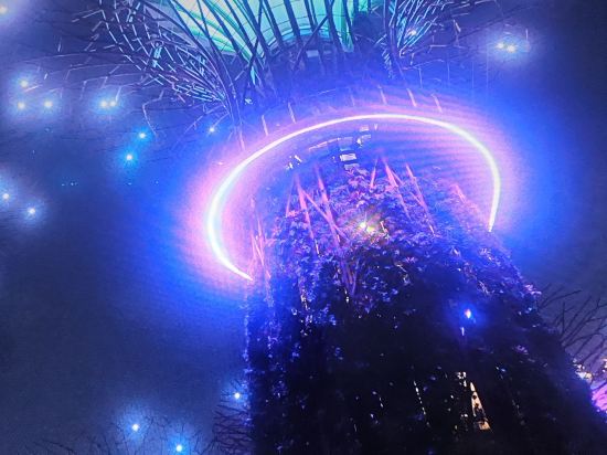 新加坡lyf福南共享公寓 （Staycation Approved）優惠