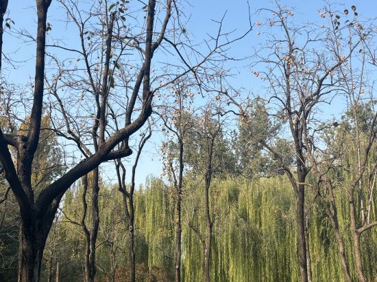 桔子酒店（北京天寧寺店）優惠