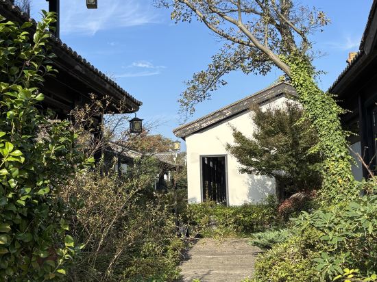 大樂之野（安吉桃花源店）優惠