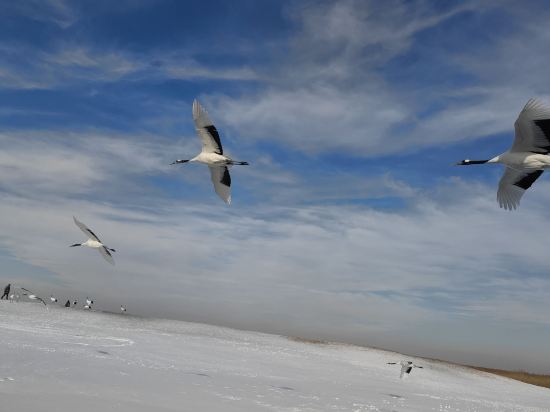 齊齊哈爾御楓飯店（齊齊哈爾火車站店）優惠