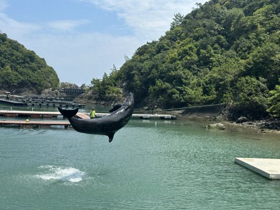 ホテル浦島 クーポン