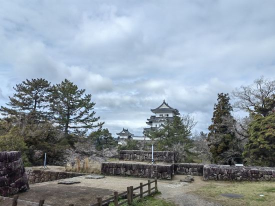 天然温泉　癒しの宿　ヒルホテル　サンピア伊賀 クーポン