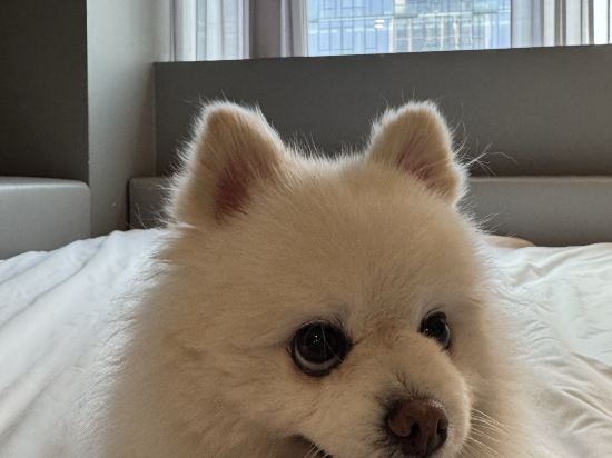 호텔 카푸치노 쿠폰