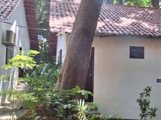 大巴興地帝景客棧優惠