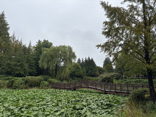 White Tourist Hotel 쿠폰