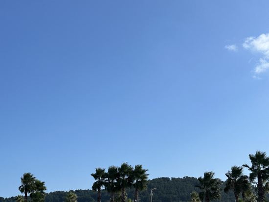 에벤에셀 호텔 쿠폰