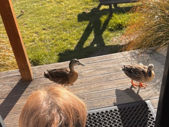 特卡波湖汽車旅館和假日公園優惠