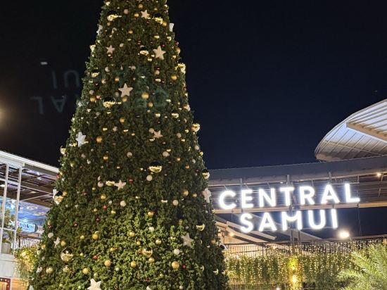 蘇梅島查文海灘舒適別墅優惠