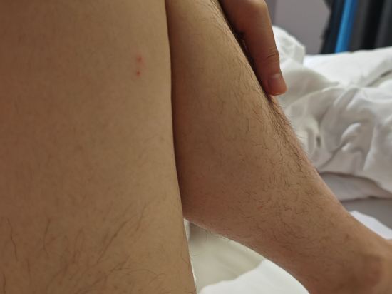 羅斯蘭科普酒店優惠