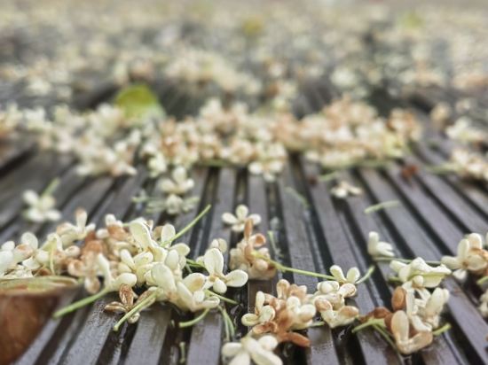 南京維元國際酒店優惠