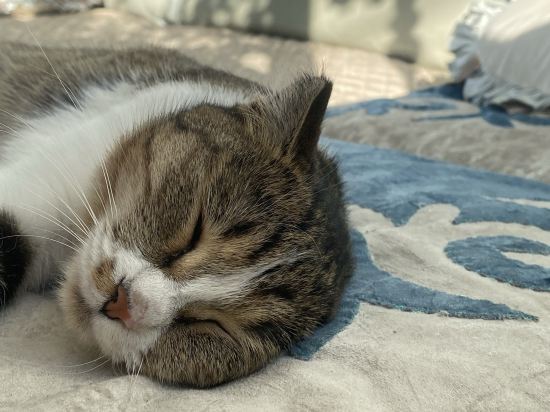 天緣太空艙飯店（烏魯木齊T2店）優惠