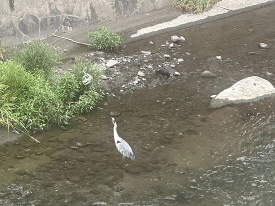 アークホテル熊本城前 クーポン