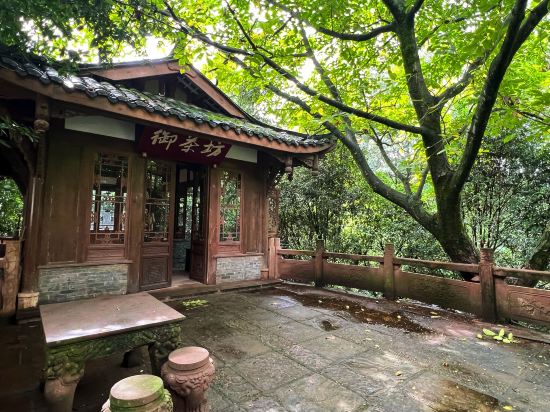 邛崍竹上花楸民宿優惠