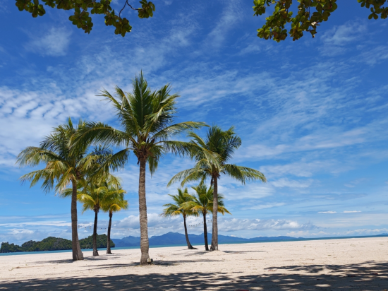 四季度假酒店優惠