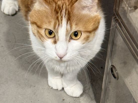 秋果酒店（北京中關村店）優惠