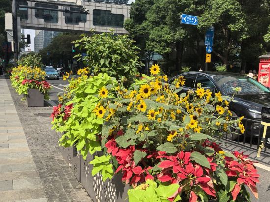 上海新天地安達仕酒店優惠