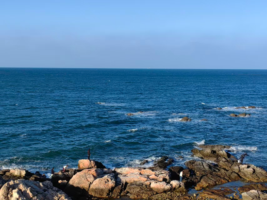 煙台南山皇冠假日酒店優惠
