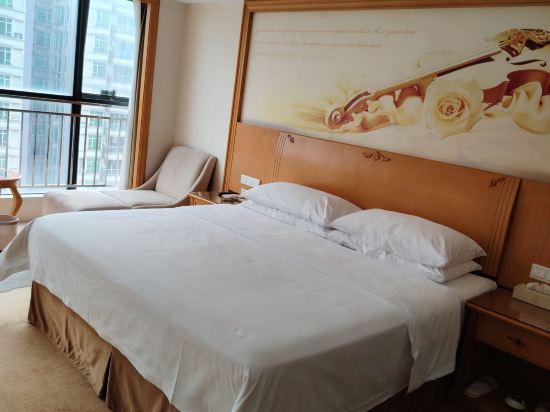 維也納國際飯店（中山火炬中心店）優惠