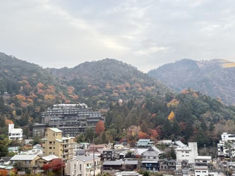 兵衛向陽閣 クーポン