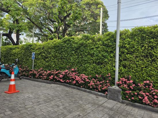 清邁ANA公園飯店優惠