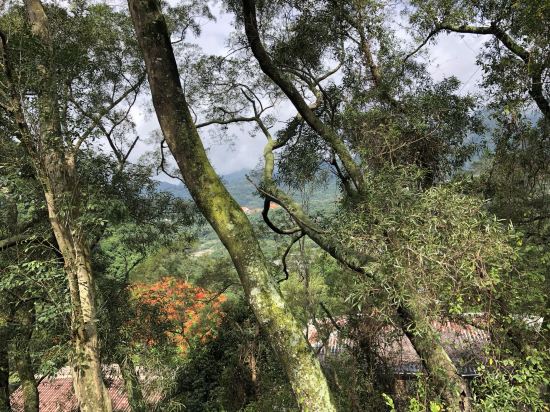 高雄國蘭花園Villa優惠