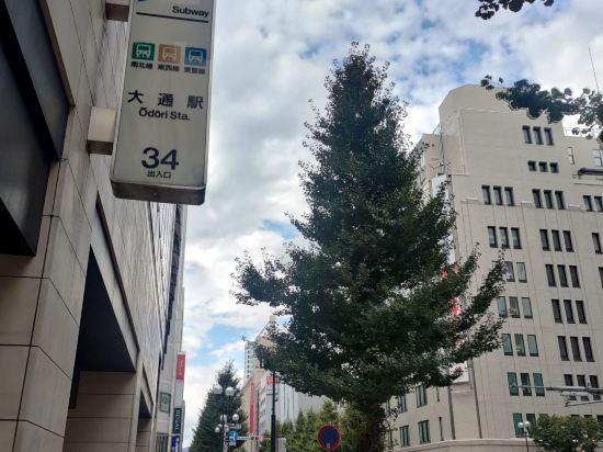 東急stay札幌酒店優惠