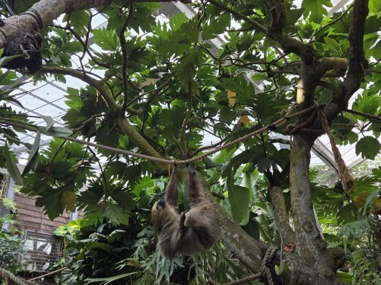 新竹國賓大飯店優惠