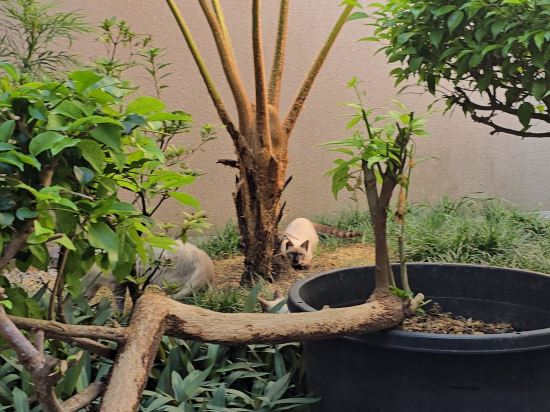 海の旅亭おきなわ名嘉真荘 クーポン