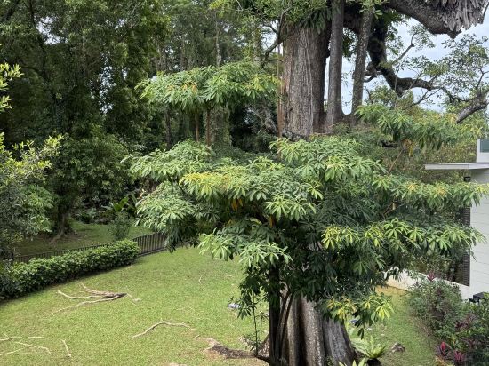 新加坡樟宜灣飯店優惠