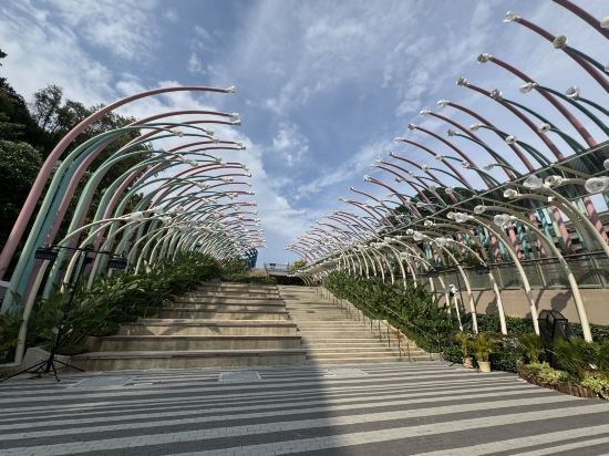 新加坡悦樂雅柏酒店（SG Clean）優惠