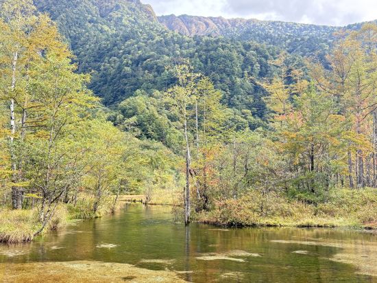 ホテルウィングインターナショナルプレミアム金沢駅前 クーポン