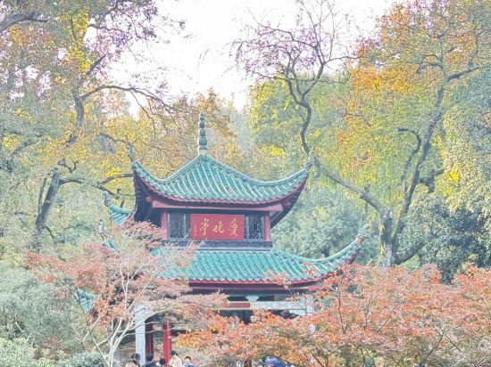 FunGee歡致酒店（長沙IFS國金中心南門口地鐵站店）優惠