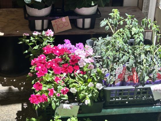 JR東日本ホテルメッツ かまくら大船 クーポン