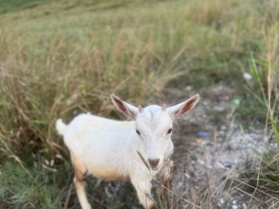 澎湖豐家大飯店優惠