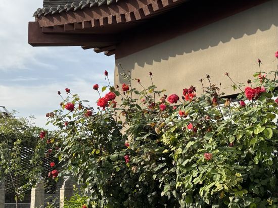 宜必思尚品飯店（西安鐘鼓樓回民街店）優惠