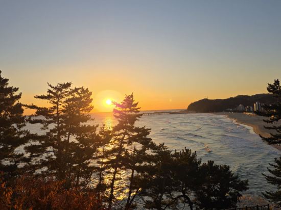 쏠비치 삼척 쿠폰