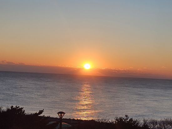 낙산 비치 호텔 쿠폰