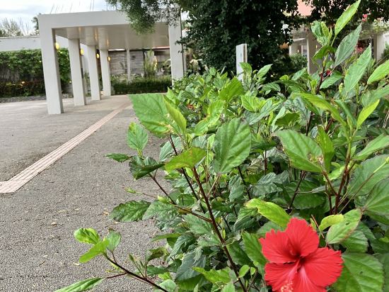 ネイチャーみらい館 クーポン