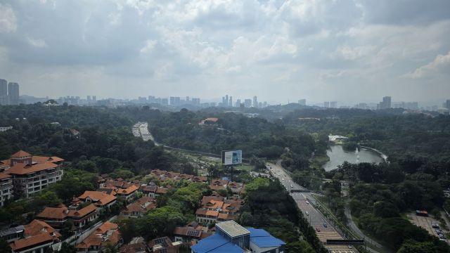 review picture