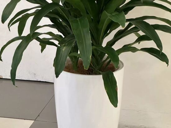 上海樂途青年公寓優惠