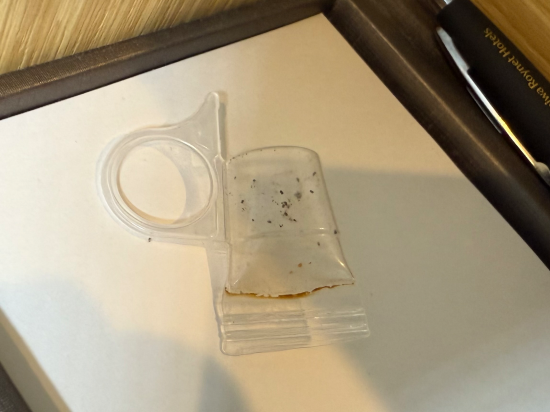 ダイワロイネットホテル 名古屋伏見 クーポン