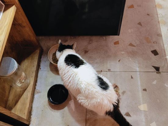 玖米宿江（桂林兩江四湖東西巷店）優惠