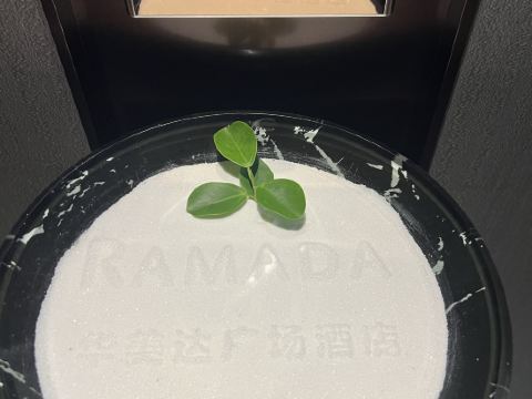 賀州澤森華美達廣場酒店優惠