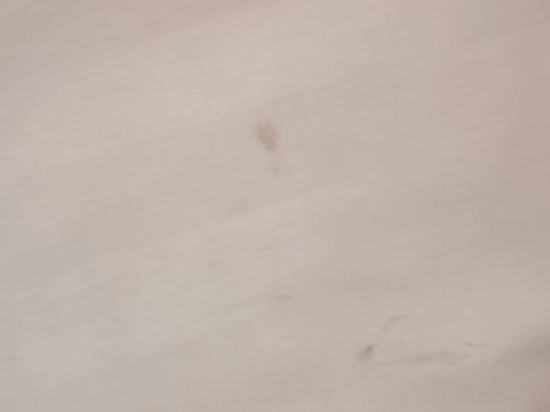 阿媽羅薩豪華酒店優惠